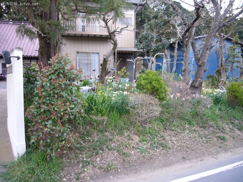 P1050612.jpg