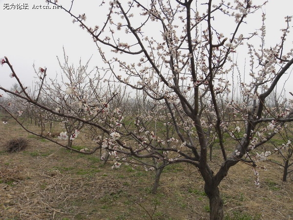DSCN0711'.JPG