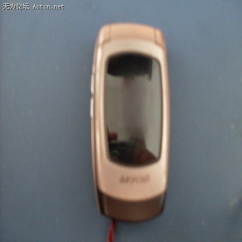 SDC10629.jpg
