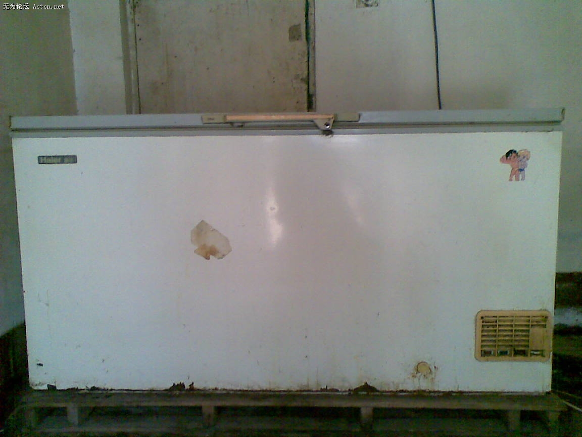 20100505(006).jpg