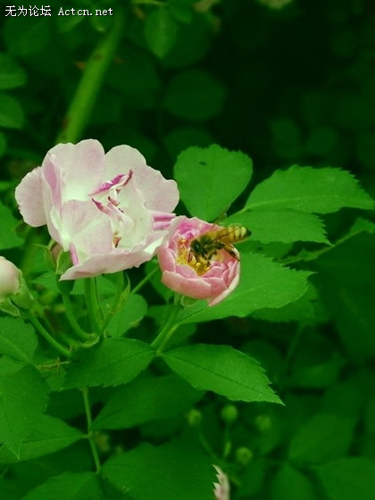 DSCF0281.JPG