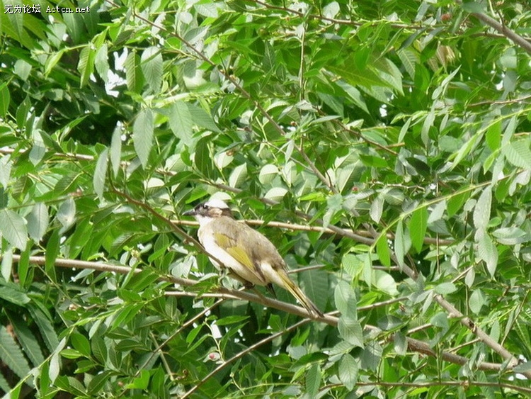 P1020133.jpg