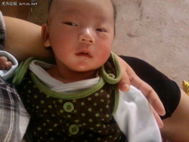 Ƭ-0174.jpg