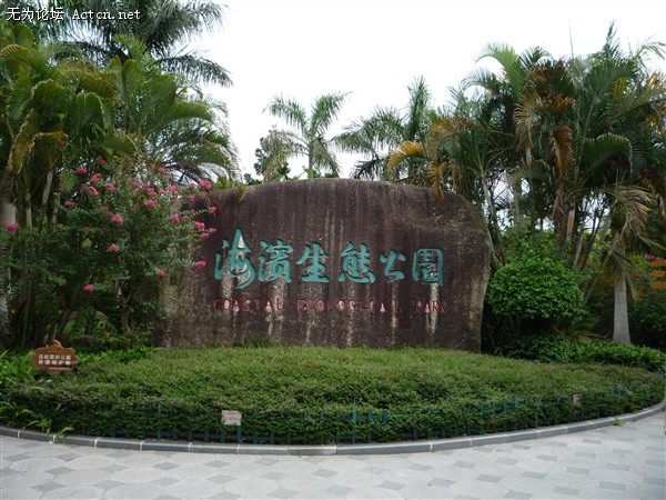P1020642_.jpg