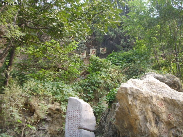 SSM11045.JPG