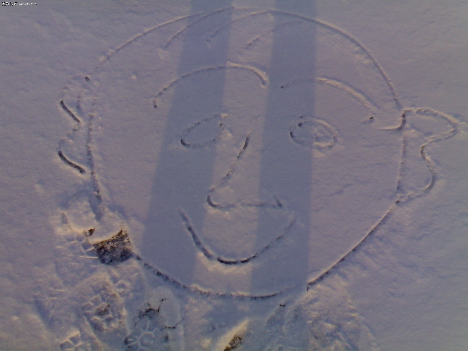 20100104226.jpg