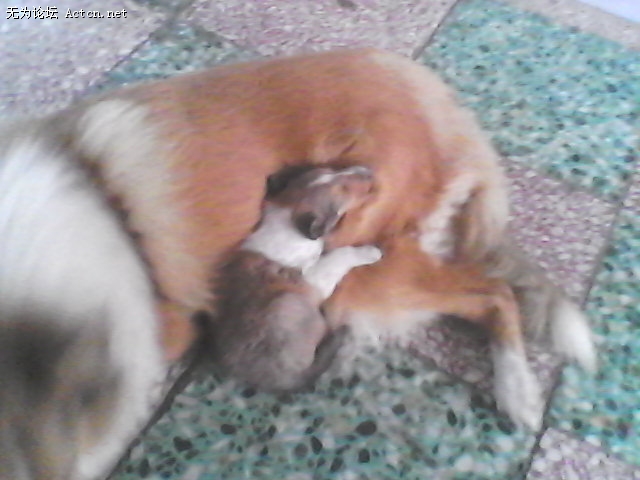 DSC_0000014.jpg
