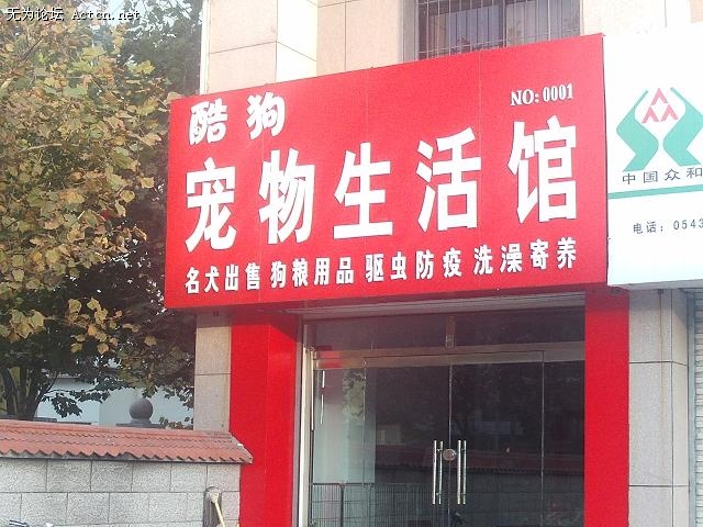 PHOT0056.JPG