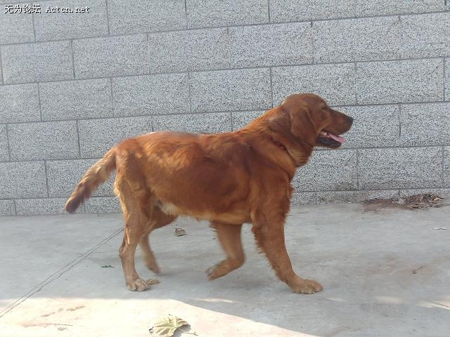 PHOT0063.JPG