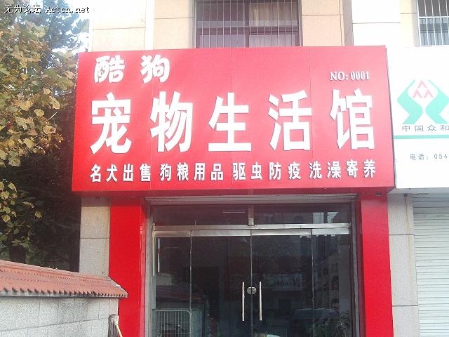 PHOT0055.JPG