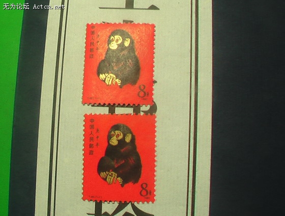 IMGA0434_С.JPG