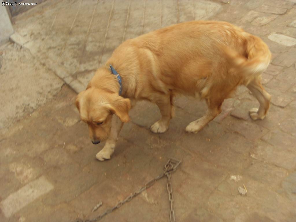 SDC11851.jpg