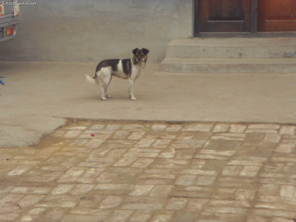 SDC11848.jpg