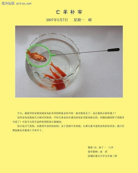 039_nEO_IMG.jpg