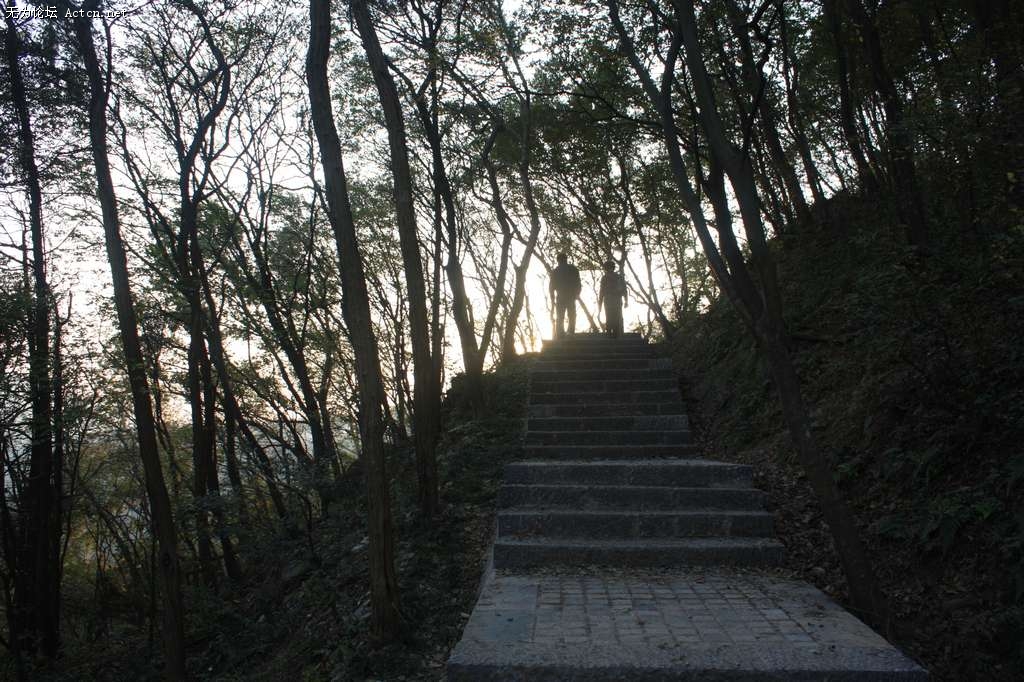 IMG_5685.jpg