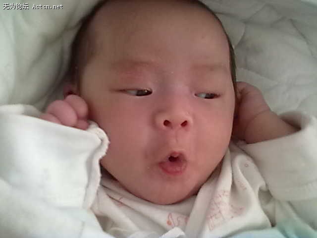 20110318 ˼.jpg