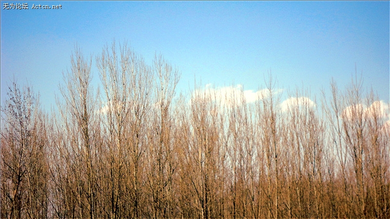 dsc02808_.jpg