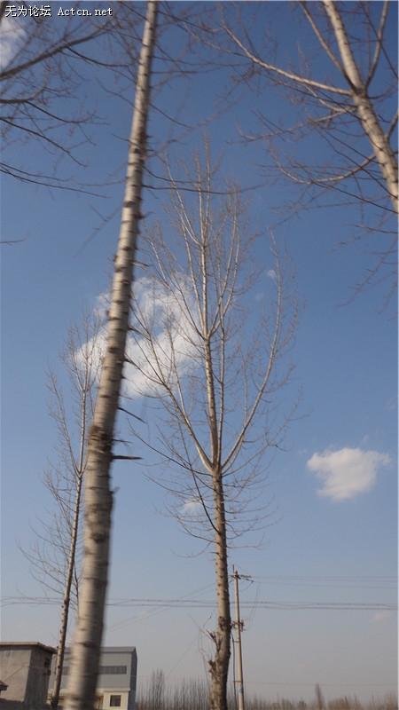 dsc02817_.jpg