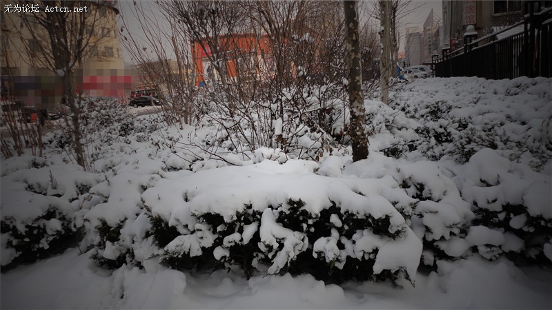 dsc02740_.jpg