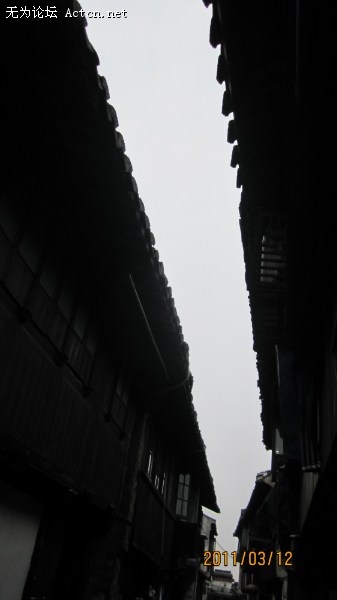 444.jpg