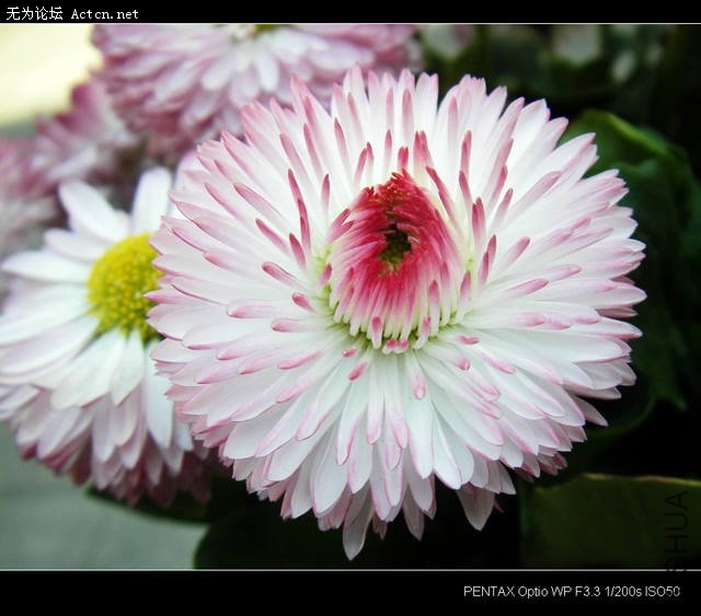 IMGP3582.JPG