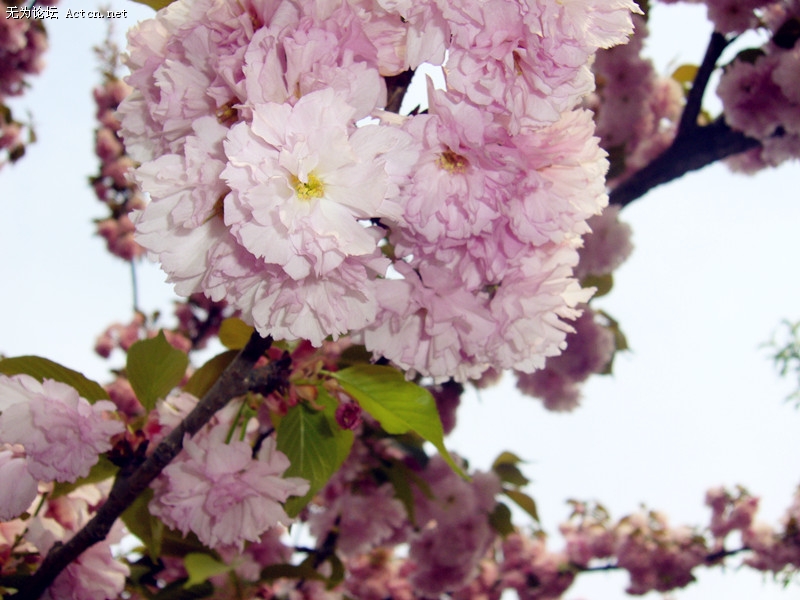 P1070031_.jpg