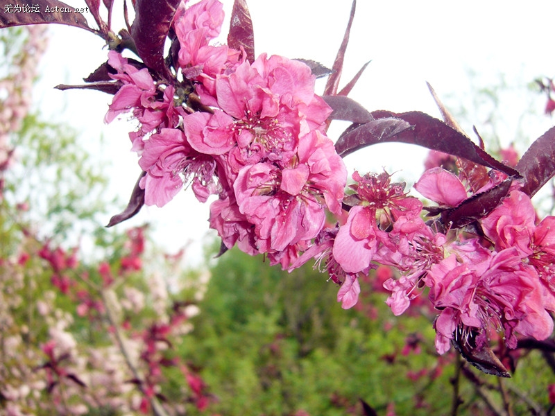 P1070040_.jpg