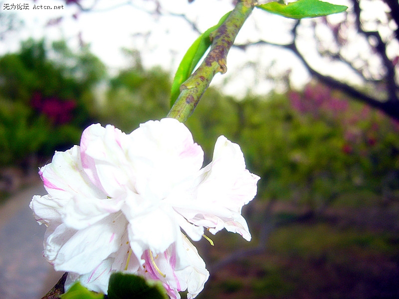 P1070047_.jpg