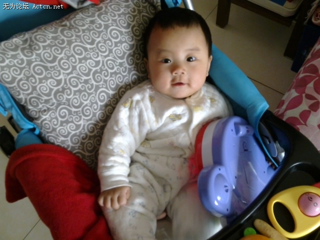 20110425295.jpg