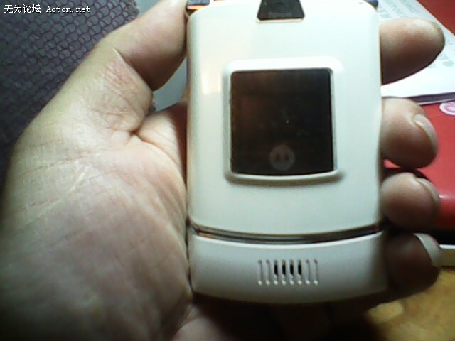 IMG0107A.jpg