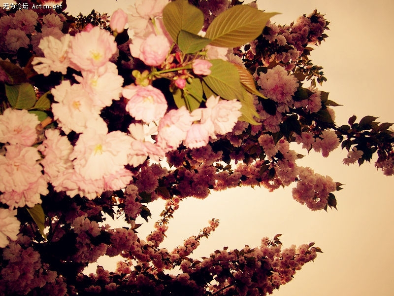 20110425_d05ff9514e0474645d84Id7eaZavvx0e_.jpg