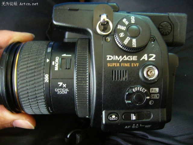 P1620541.JPG