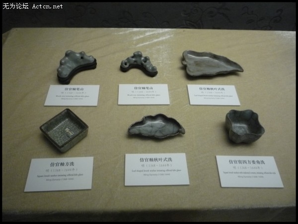 conew_p1030970.jpg