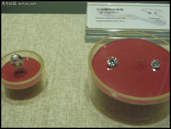 conew_p1040011.jpg