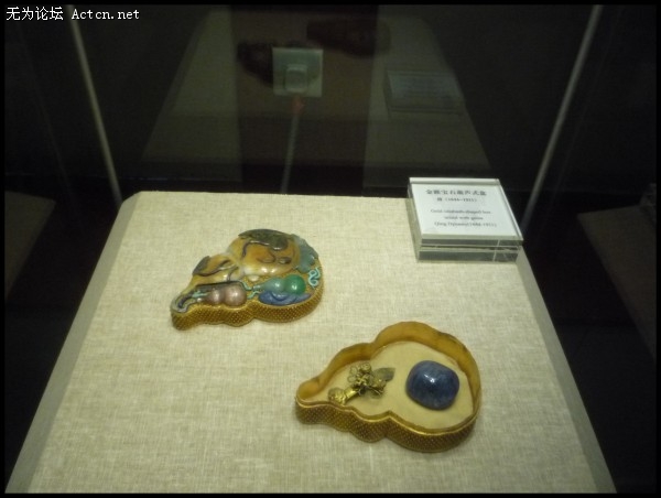 conew_p1030991.jpg