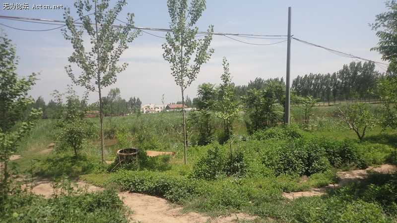 dsc03558_.jpg