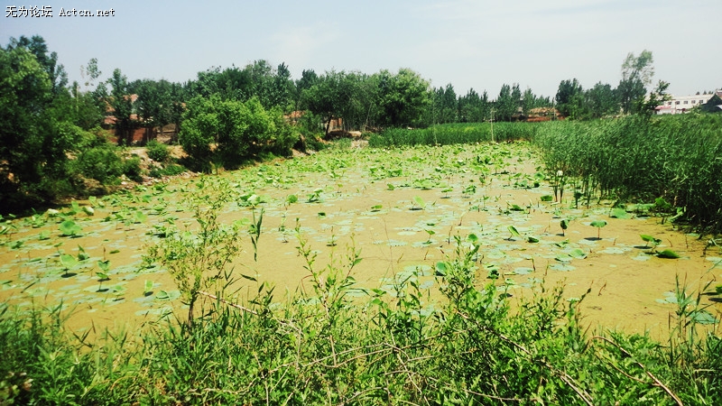 dsc03559_.jpg