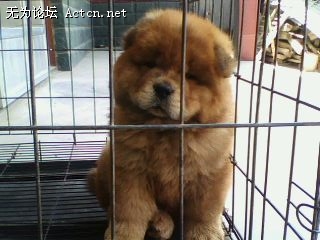 IMG0773A.jpg
