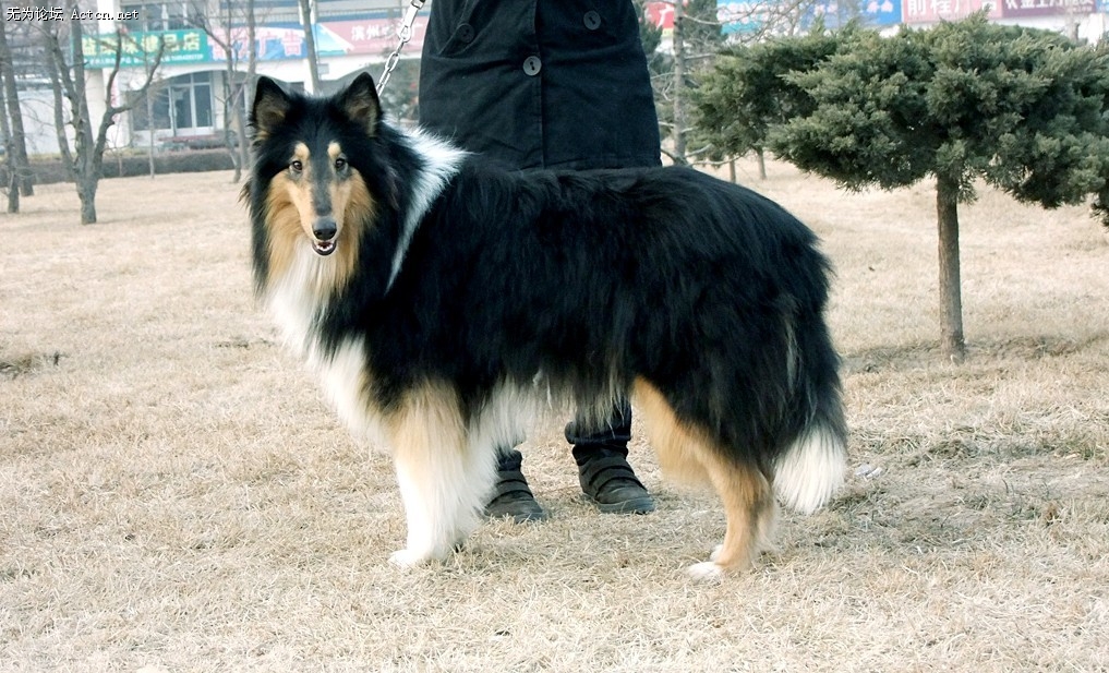 СƬ