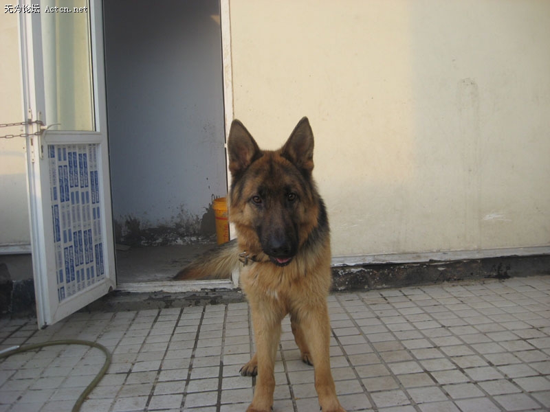 IMG_5264.JPG