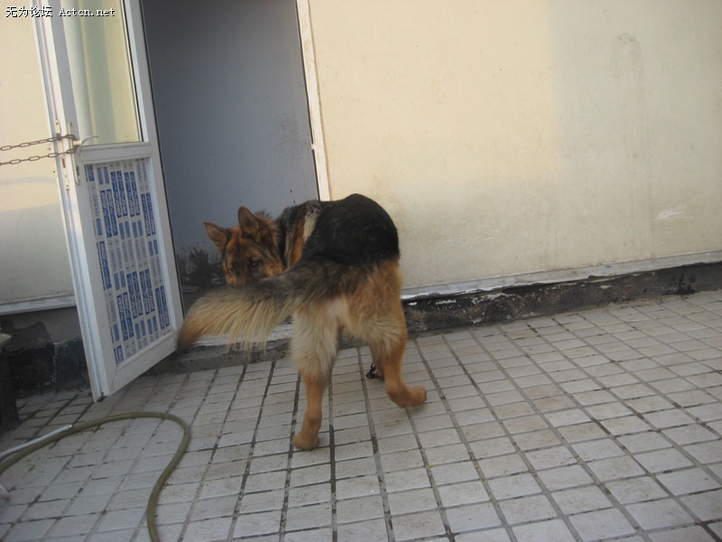 IMG_5262.JPG