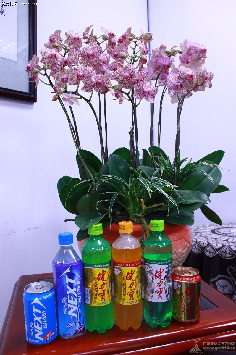 o_5IPAK64C0C4T0078.jpg