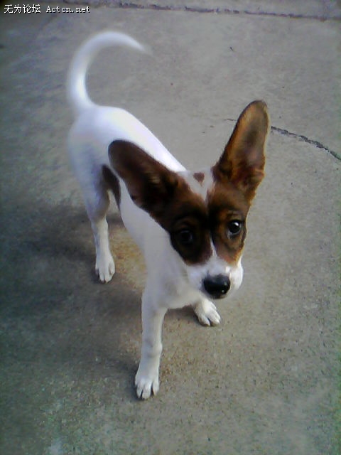 20110712_1803_2.jpg
