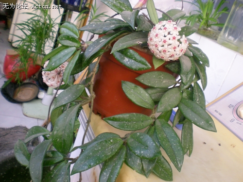 DSCN4336.JPG