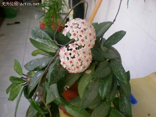 DSCN4339.JPG