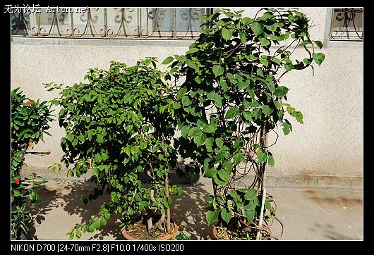 nEO_IMG_Ƭ 012.jpg