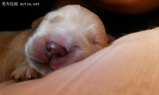 IMG_20120112_152718.jpg