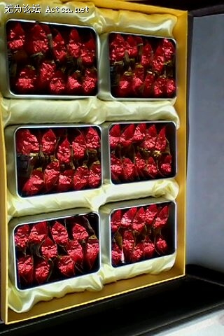 IMG0135A.jpg