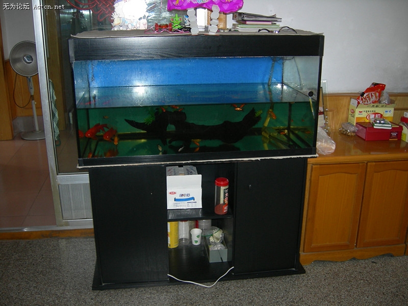 DSCN8570_.jpg
