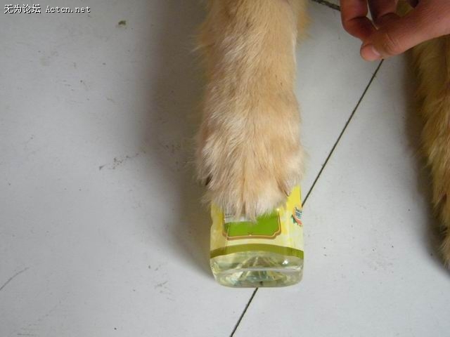 С DSCF7914.JPG